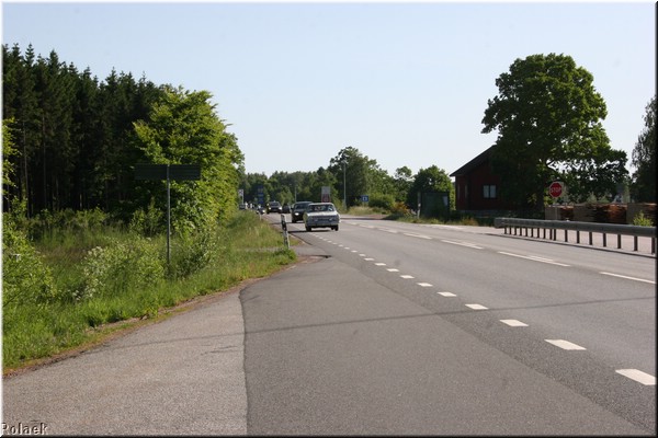 tydinge-080603_9160.jpg