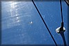 ssm-20080705_9553.jpg