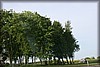 tolv-08_9004.jpg