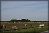 tolv-08_9007.jpg