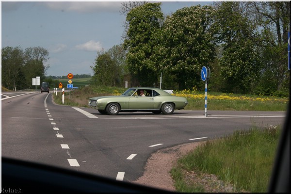 grona_1808.JPG