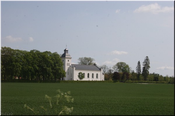 grona_1811.JPG