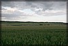 bondrum-090721_0064.jpg