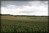 bondrum-090721_0065.jpg