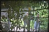 frostav-090716_0012.jpg