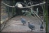 frostav-090716_0013.jpg