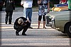 frostav-20090827_0537.jpg