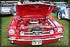 frostav-20090827_0553.jpg