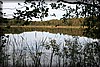 frostav-20090917_0735.jpg