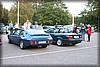 frostav-20090917_0743.jpg