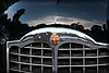 frostav-20090917_0746.jpg