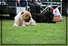 gula_0825.jpg