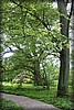 pingst_2038.jpg