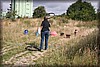 slott-herre-090816_0395.jpg