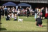 slott-herre-090816_0466.jpg