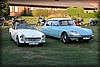 spjut-20090820_0504.jpg