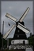 stolofsmolla-090705_2514.jpg