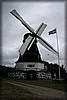 stolofsmolla-090705_2516.jpg