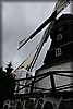stolofsmolla-090705_2517.jpg