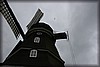 stolofsmolla-090705_2520.jpg