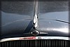 svenstorp-2009_0175.jpg