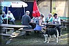 tydinge-090707_2558.jpg