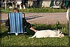 vikinga-090811_0362.jpg