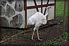 frostav-20100520_1353.jpg