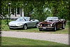 frostav-20100708_1811.jpg