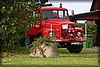 hostrally-20100918_2645.jpg