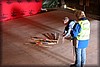 hostrally-20100918_2651.jpg