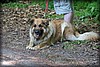 hultivalen-20100710_1851.jpg