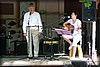 hultivalen-20100710_1858.jpg