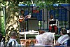hultivalen-20100710_1863.jpg