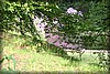 sextorp-20100623_1762.jpg