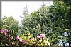 sextorp-20100623_1763.jpg