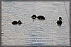 sextorp-20100623_1764.jpg