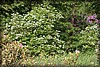 sextorp-20100623_1765.jpg
