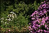 sextorp-20100623_1766.jpg