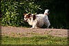sextorp-20100623_1771.jpg