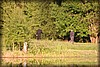 sextorp-20100623_1772.jpg