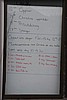 tryde-100509_1182.jpg