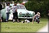 v-bildag-stftrp_1519.jpg