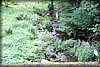 fikatur-20100821_2233.jpg