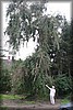 fikatur-20100821_2251.jpg