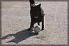 vollsjo-20100919_2735.jpg