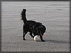 vollsjo-20100919_2741.jpg