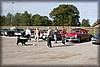 vollsjo-20100919_2746.jpg