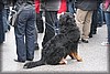 ystad-20100508_1135.jpg