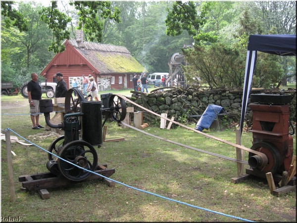 t-kulan-20110703_3646.jpg